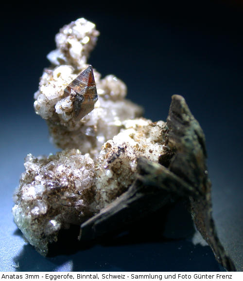 Anatas 3mm - Eggerofe, Binntal, Schweiz - Sammlung und Foto G&uuml;nter Frenz