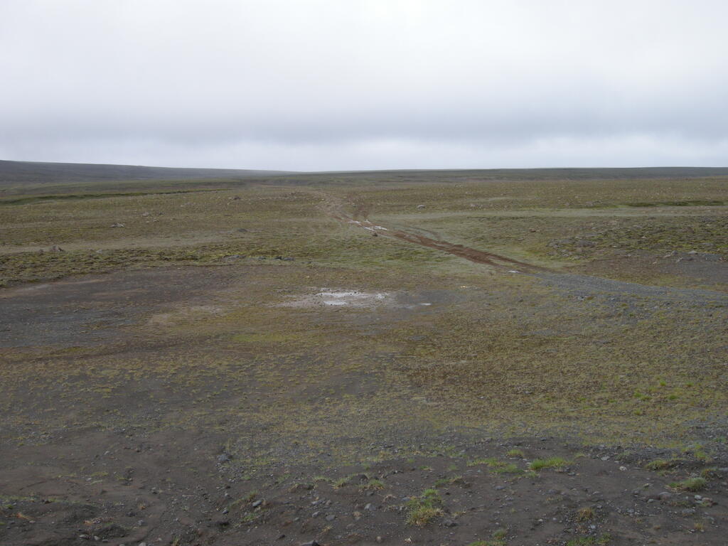 Das letzte St&uuml;ck vor der Kj&ouml;lur war etwas matschig