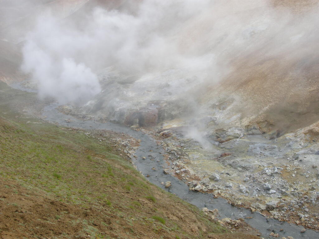 Wanderung durch das Geothermalgebiet, hei&szlig;e Quellen im und am Bach