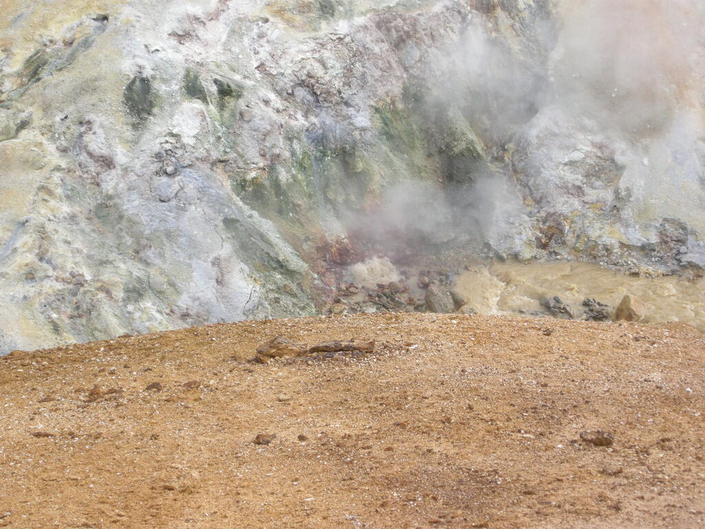 Wanderung durch das Geothermalgebiet, hei&szlig;e Quellen im und am Bach