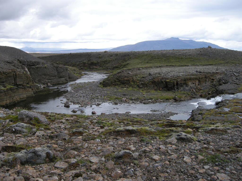 Leppistungur Piste Bu&eth;ar&aacute;