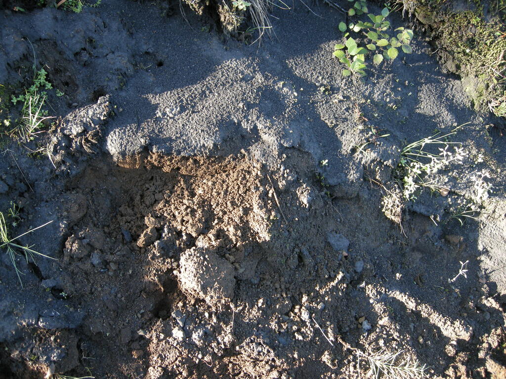Go&eth;aland, Asche der Eyjafjallaj&ouml;kull Eruption als d&uuml;nne Schicht auf der Erde