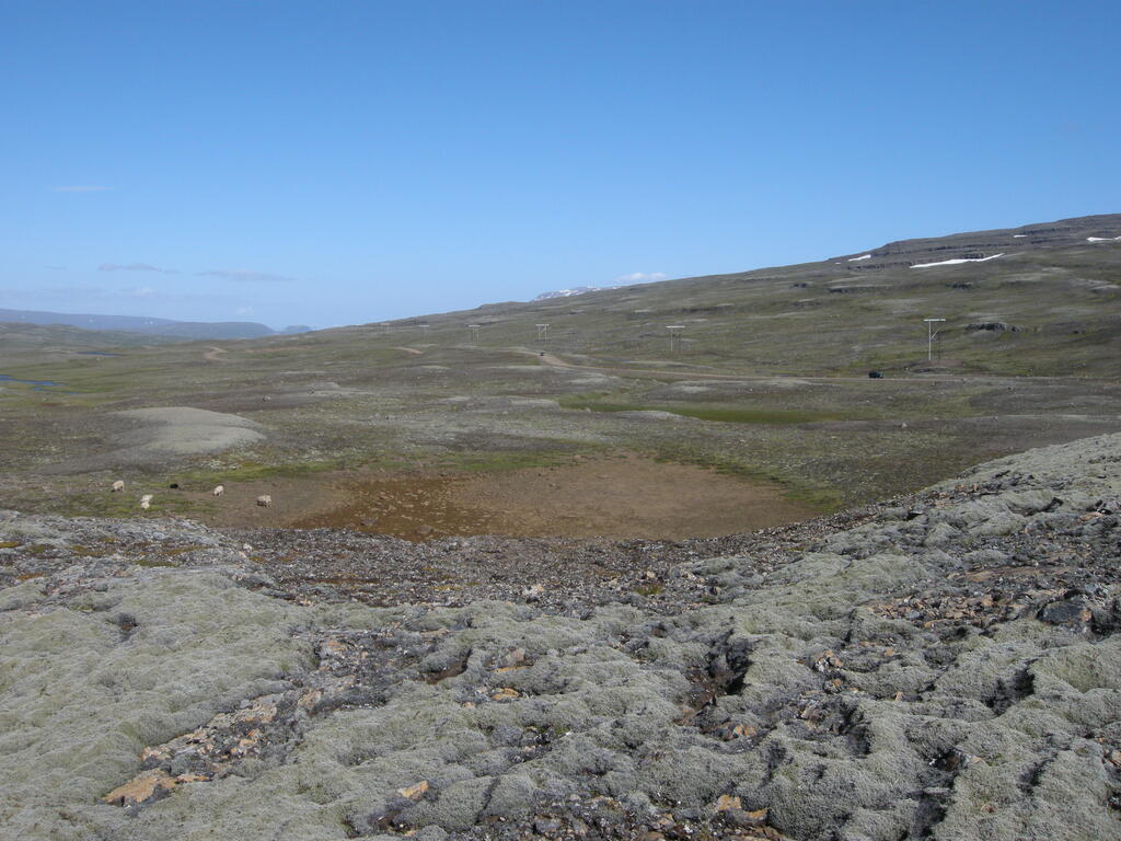 Schafe am &Ouml;xi Pass