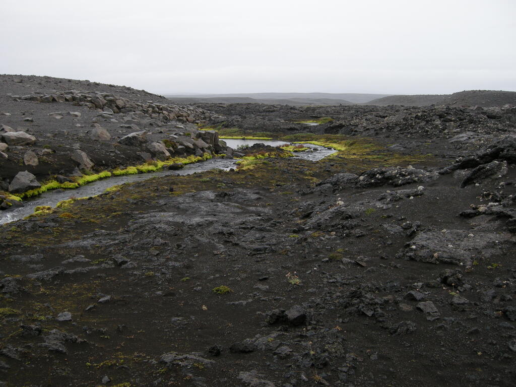F910, Am Wasser gibt es extrem gr&uuml;nes Moos