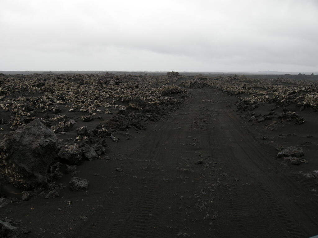 F910, Wei&szlig;e Flechten aud der Lava