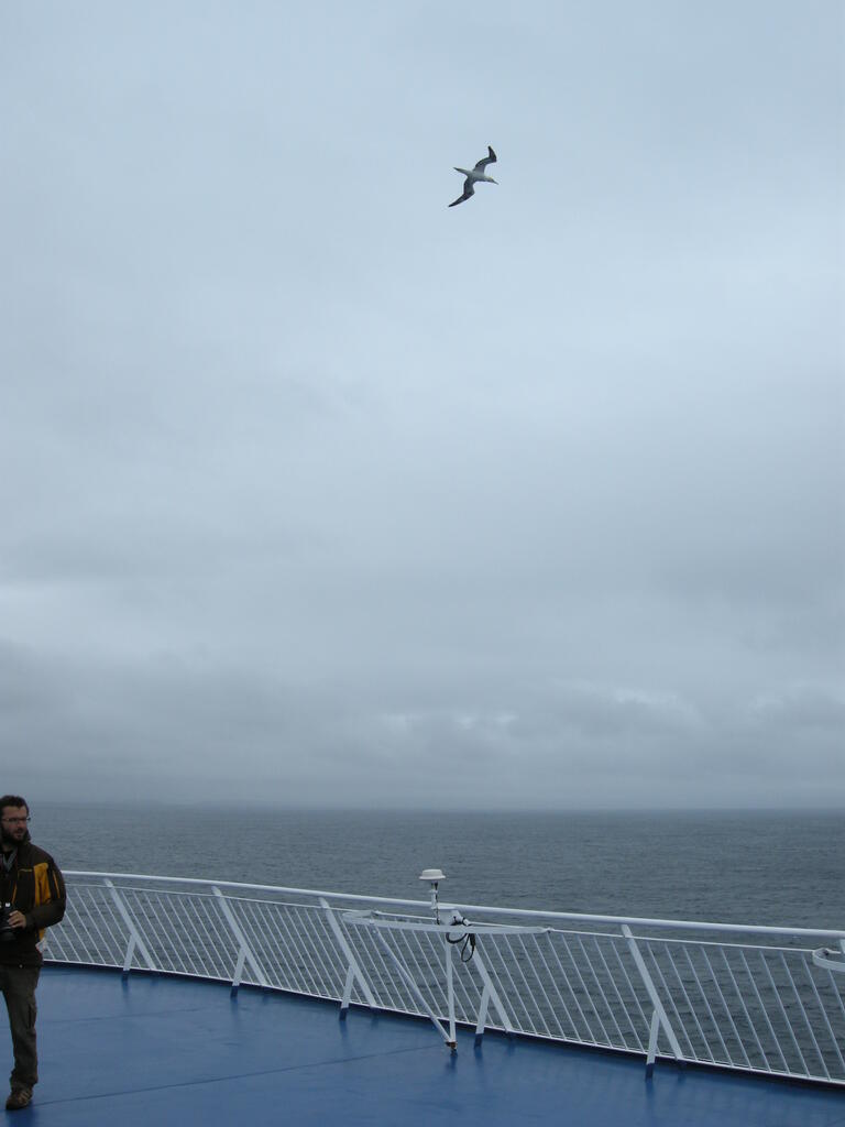Ein Basst&ouml;lpel vor dem Schiff
