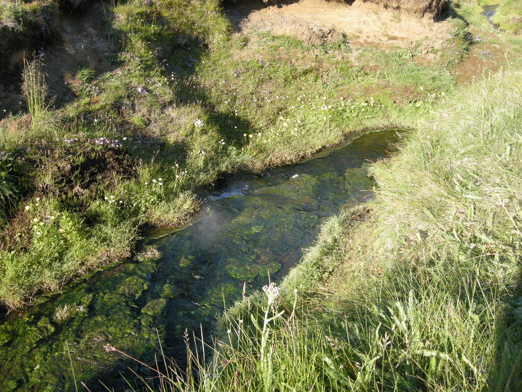 Hei&szlig;e Quelle in Laugavellir