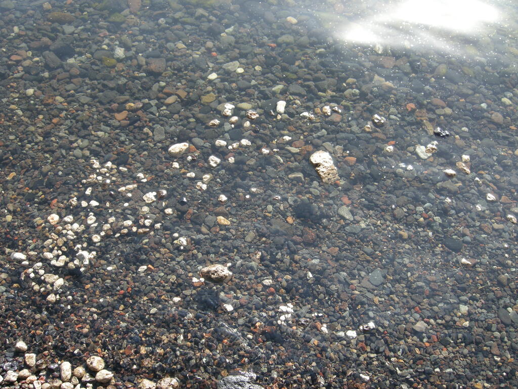 Schwimmender Bims im &Ouml;skjuvatn