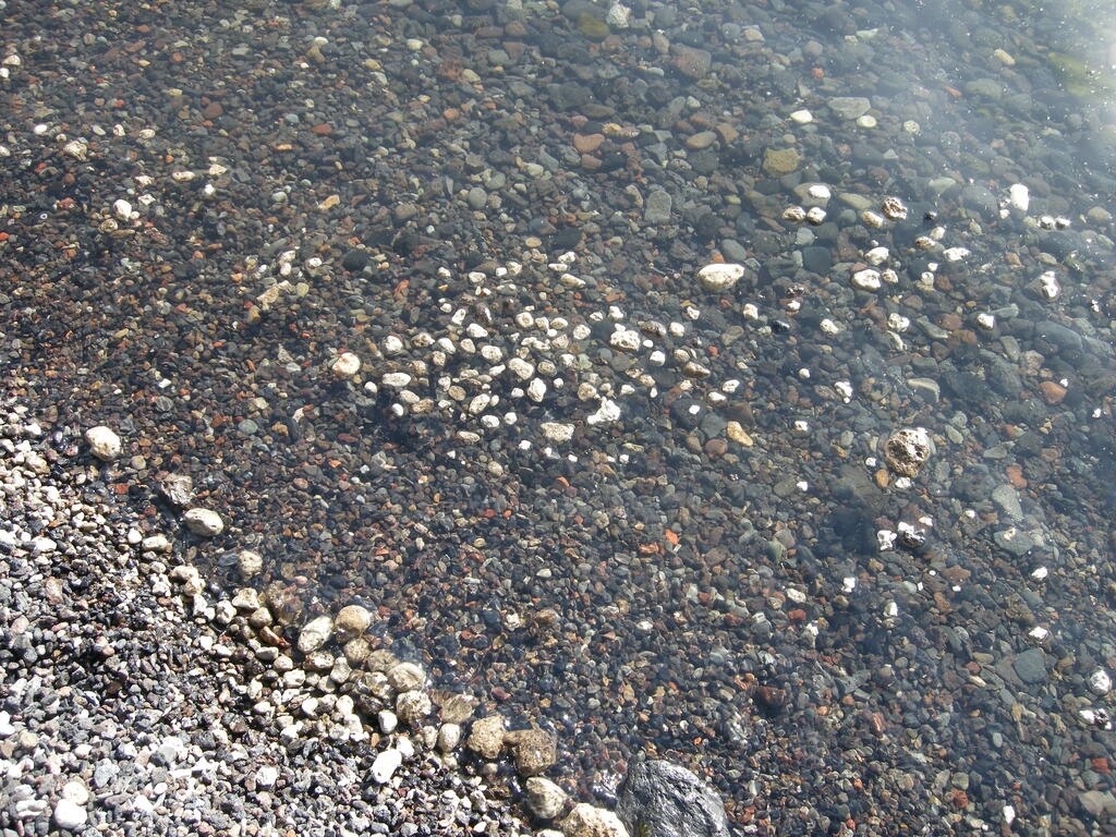 Schwimmender Bims im &Ouml;skjuvatn