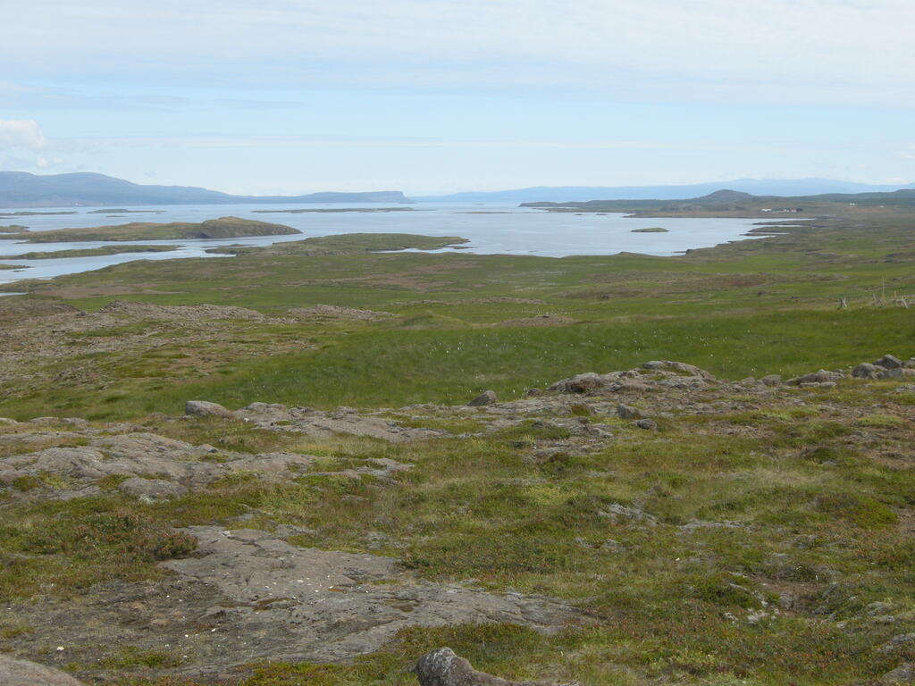 Nordk&uuml;ste Sn&aelig;fellsnes