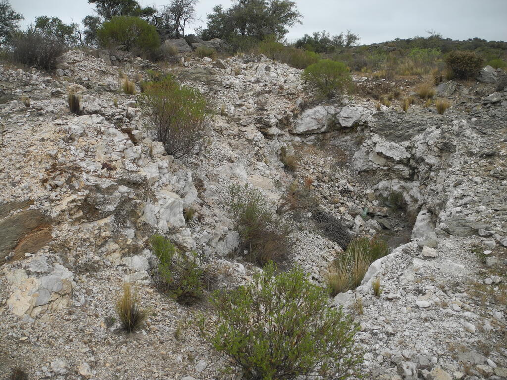 Pegmatit nahe Campo Porvenir