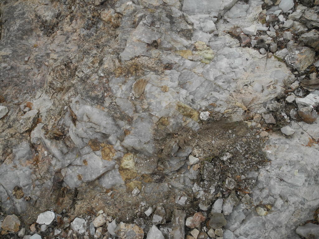 Gelbliche Beryll-Kristalle im Pegmatit