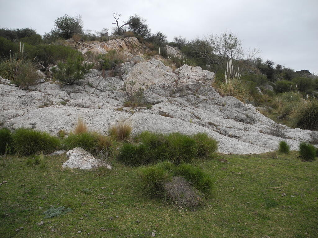 Pegmatit an der Br&uuml;cke &uuml;ber den Rio Conlara