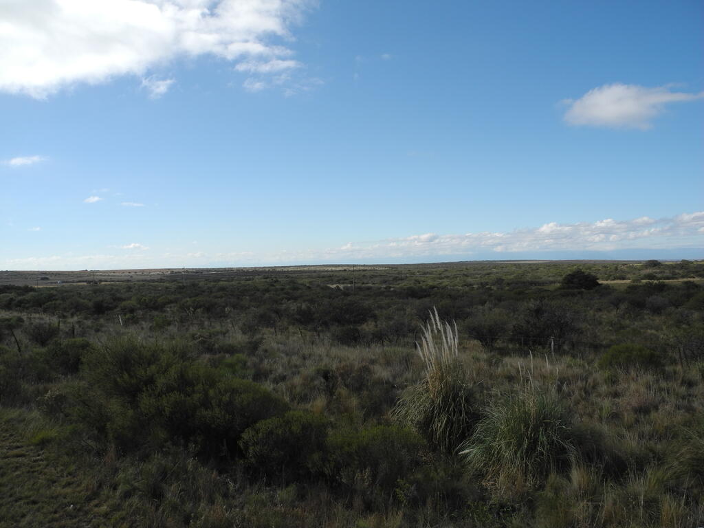 Landschaft an der RP2