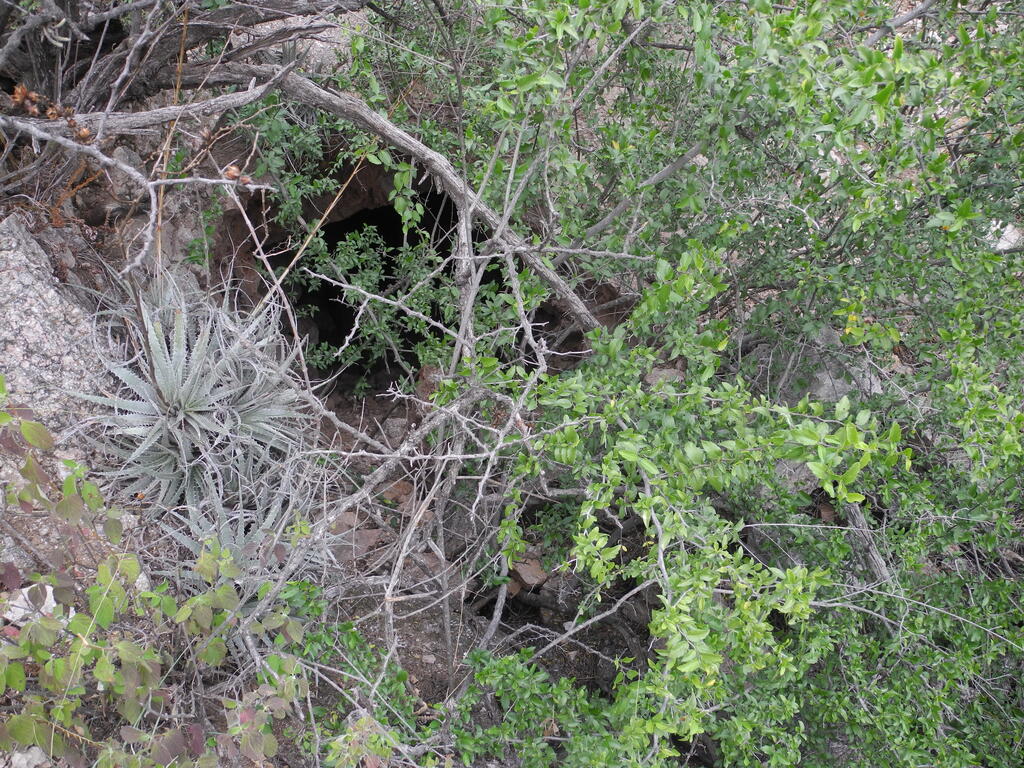 Noch ein Stollen im Pegmatit
