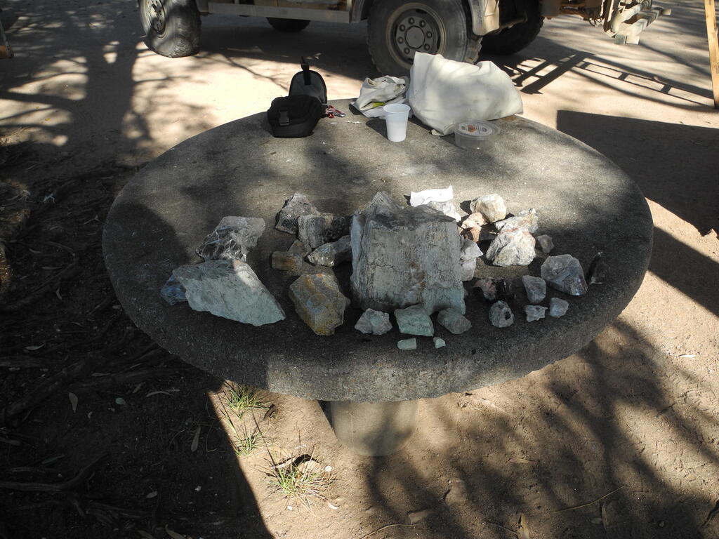 Die Funde des Tages am Campingplatz