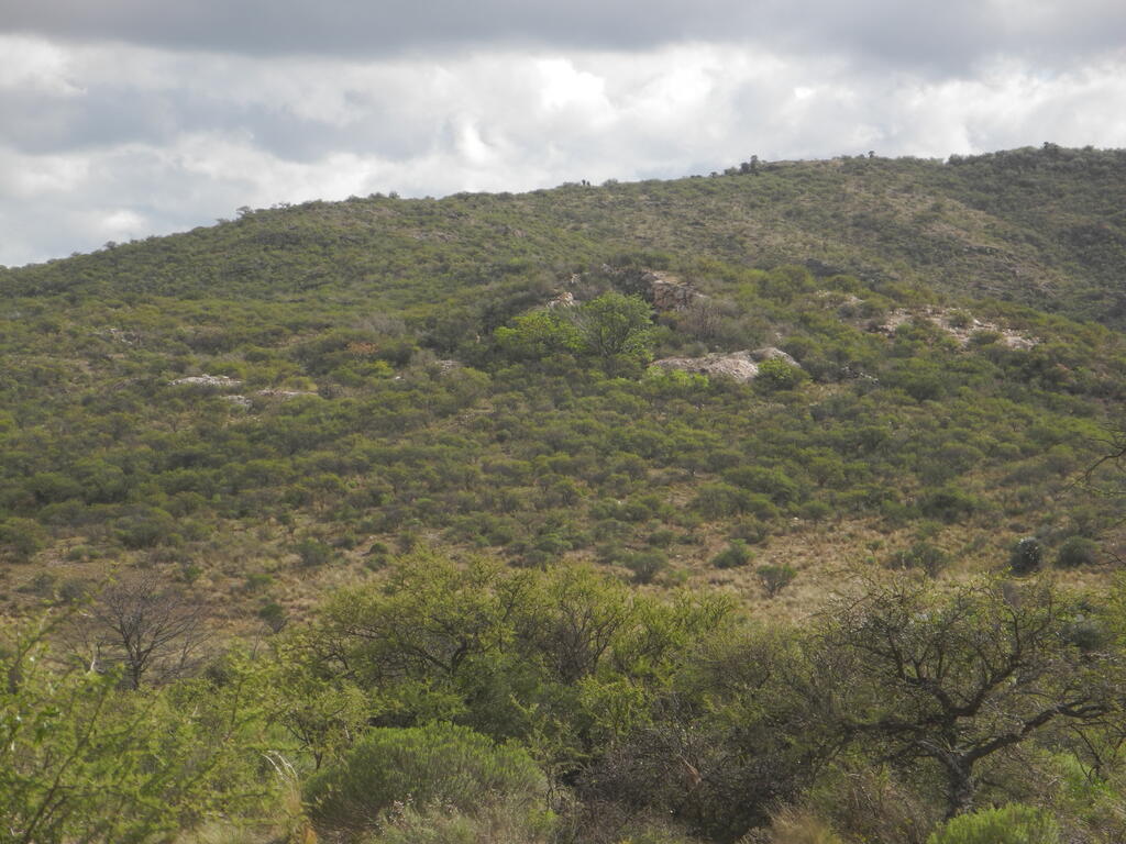 Ehemaliger Pegmatit Steinbruch Tablada von der Stra&szlig;e aus gesehen