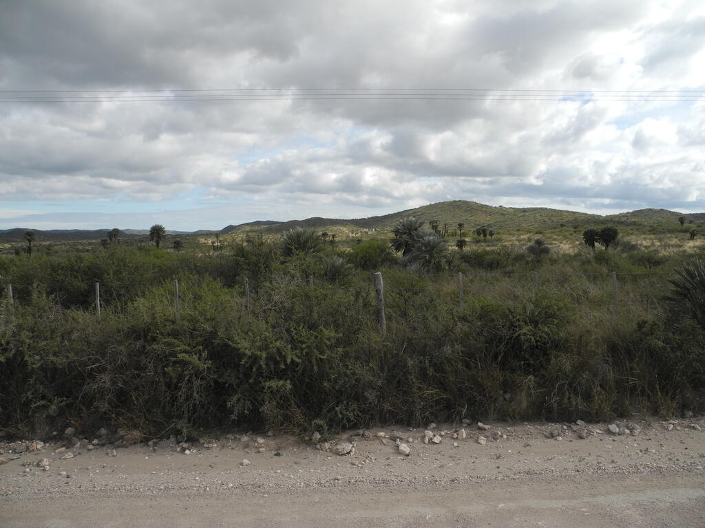 Landschaft an der S305