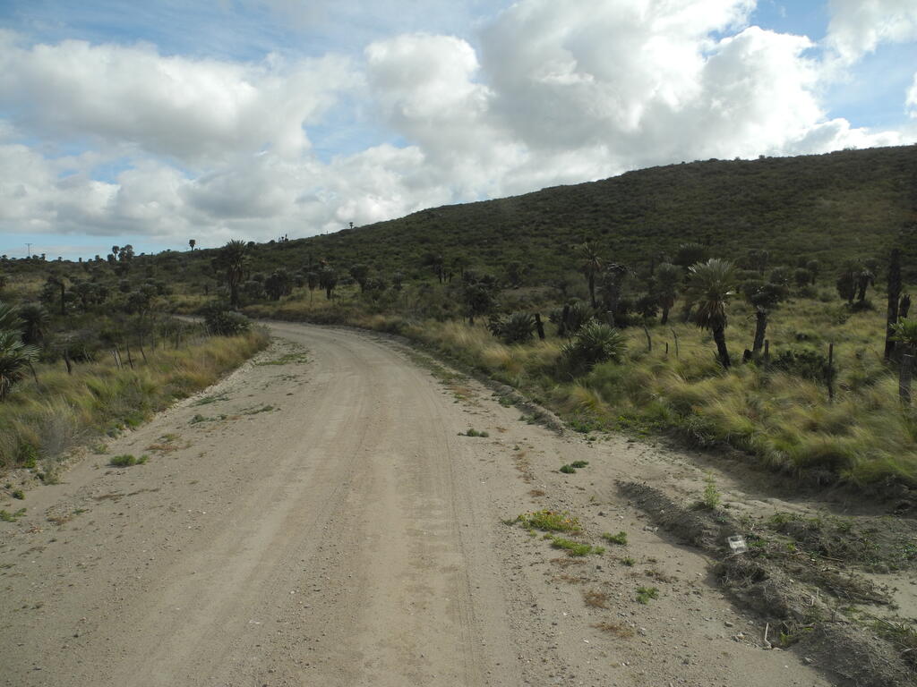 Landschaft an der S305