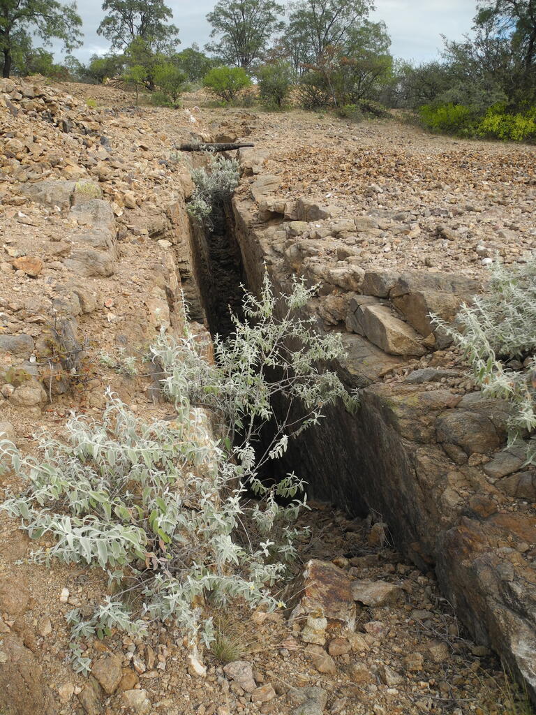 Erzgang der Mina Golondrina