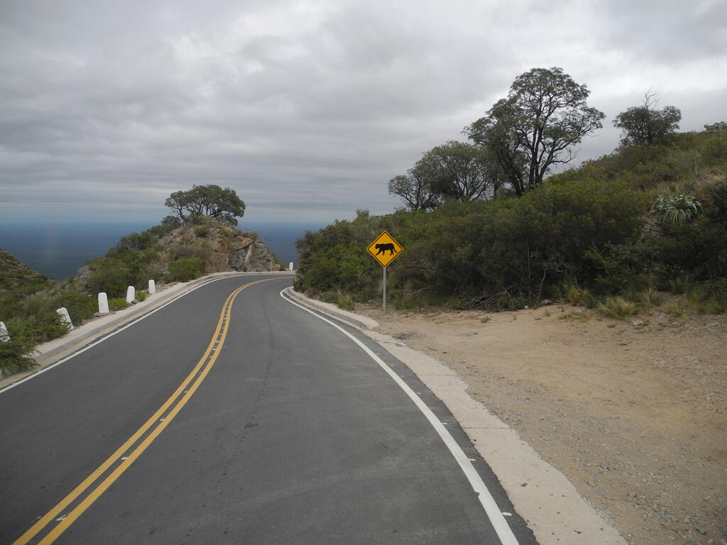 Vorsicht vor gro&szlig;en Katzen...