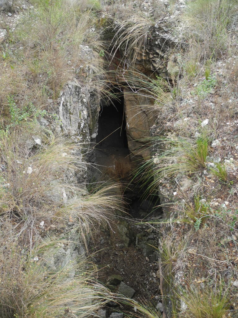 Mittlerer Teil der alten Grube