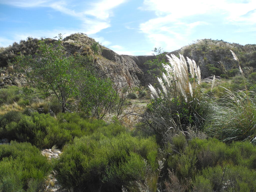 Die zweite der beiden Quarz Gruben innen