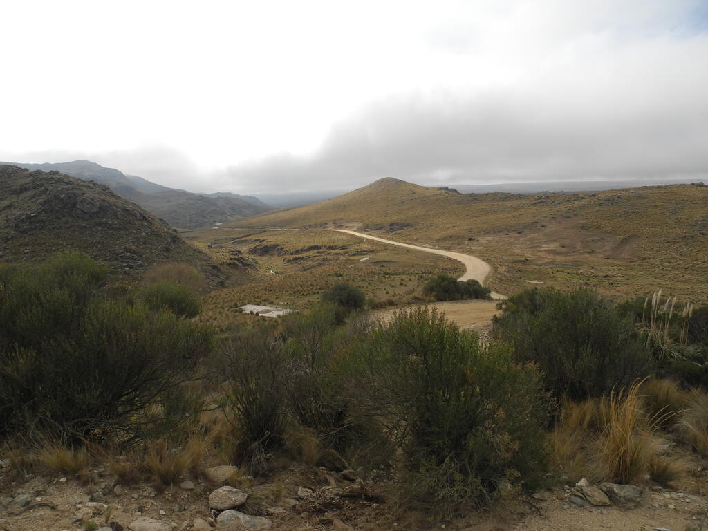 Landschaft an the RP28