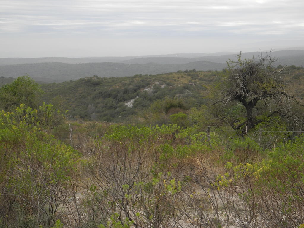 Eine kleine Grube in der N&auml;he von Los Guindos von der Stra&szlig;e aus gesehen