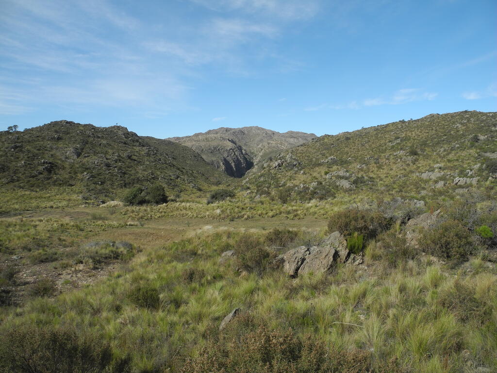 Landschaft an der RPS504 zwischen Pampa de Ol&aacute;en und Candelaria