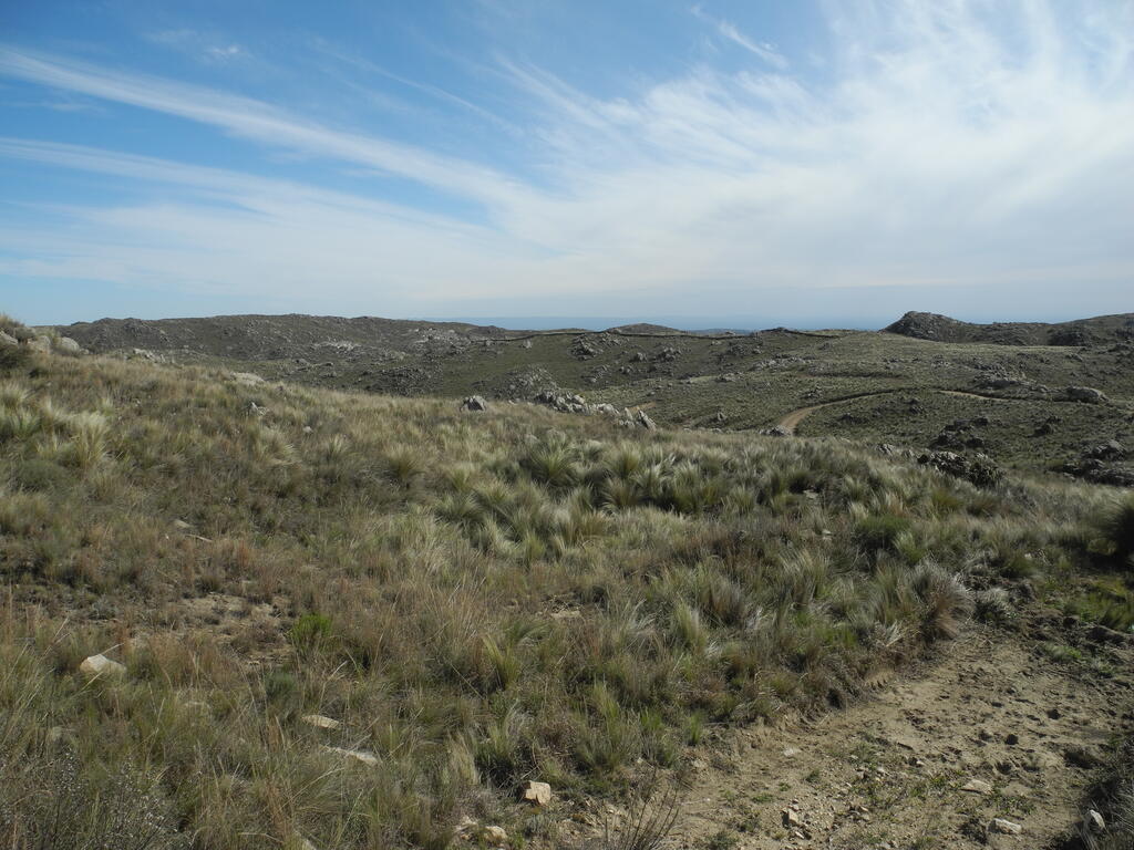 Landschaft an der RPS504 zwischen Pampa de Ol&aacute;en und Candelaria