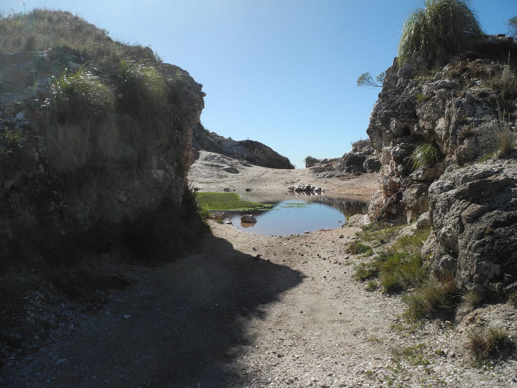 Blick in den oberen Teil von El Criollo