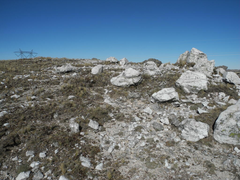 Ein Pegmatit mit viel Quarz und sonst nichts interessantem