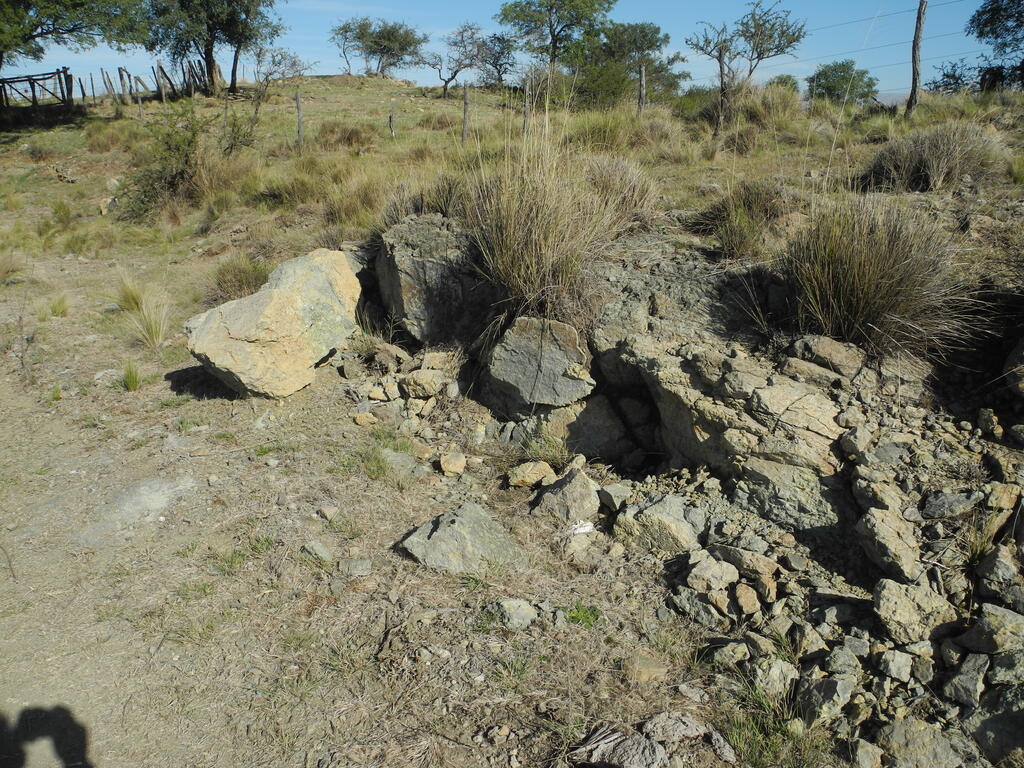 Serpentinit Aufschluss am Stra&szlig;enrand