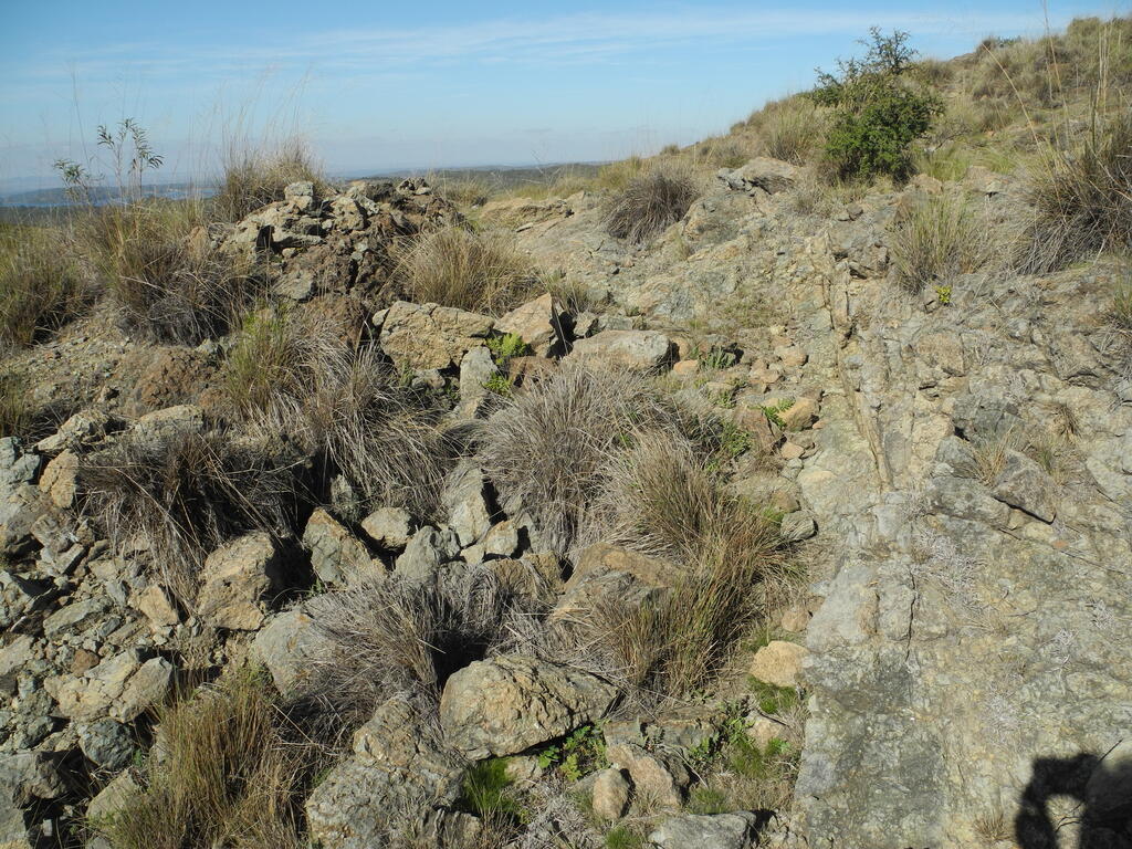 Serpentinit Aufschluss im Gel&auml;nde