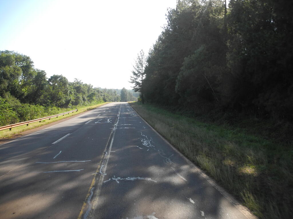 Landschaft an der RN12 zwischen Posadas und Iguaz&uacute;