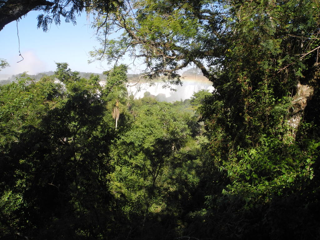 Blick durch den Wald auf die weiteren Wasserf&auml;lle des oberen Rundgangs
