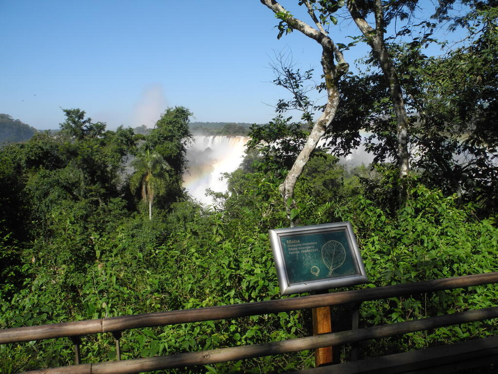 Eine der diversen Infotafeln zu den B&auml;umen