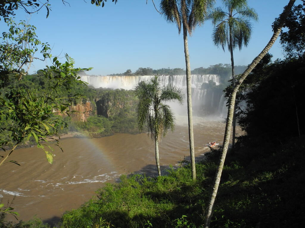 Wasserf&auml;lle hinter Palmen am unteren Rundgang