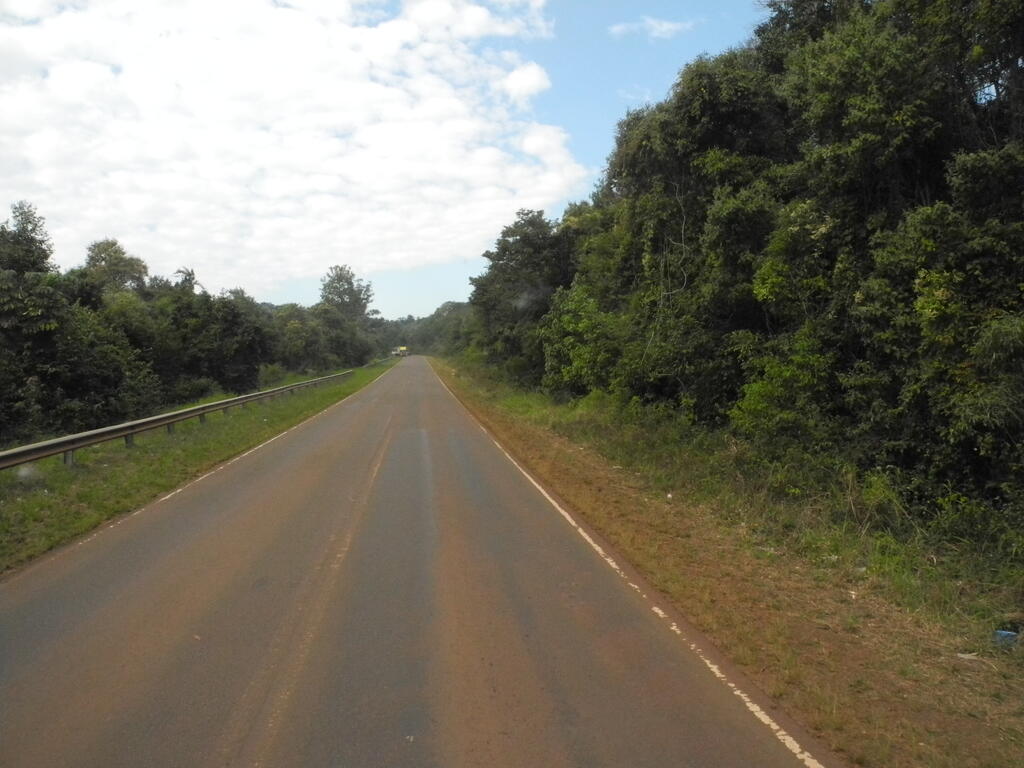 Landschaft an der RP11 zwischen El Alcazar und 2 de Mayo