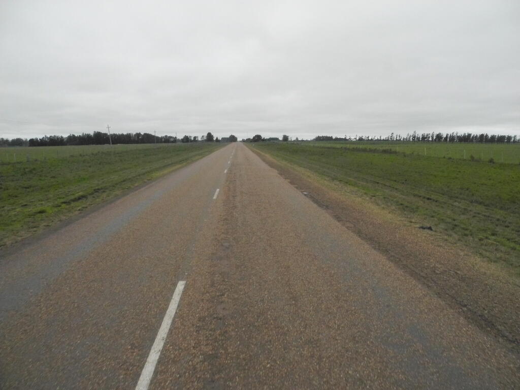 Landschaft an der Ruta 31 zwischen Salto und Tacuaremb&oacute;
