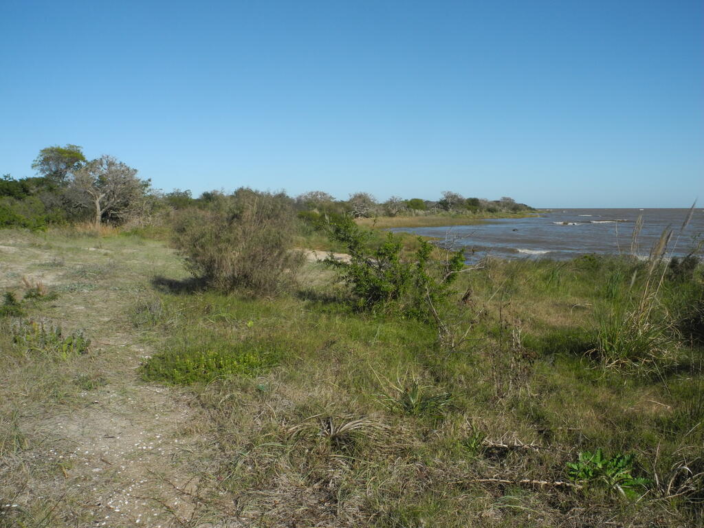 Die K&uuml;ste an der Punta Espinillo