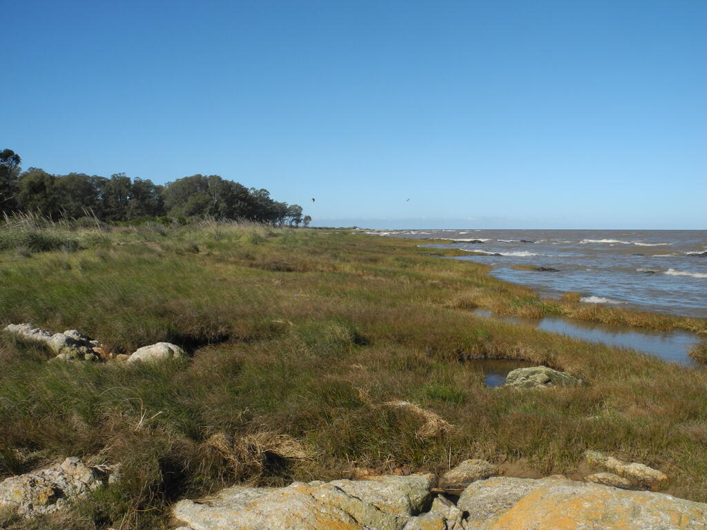 Die K&uuml;ste an der Punta Espinillo