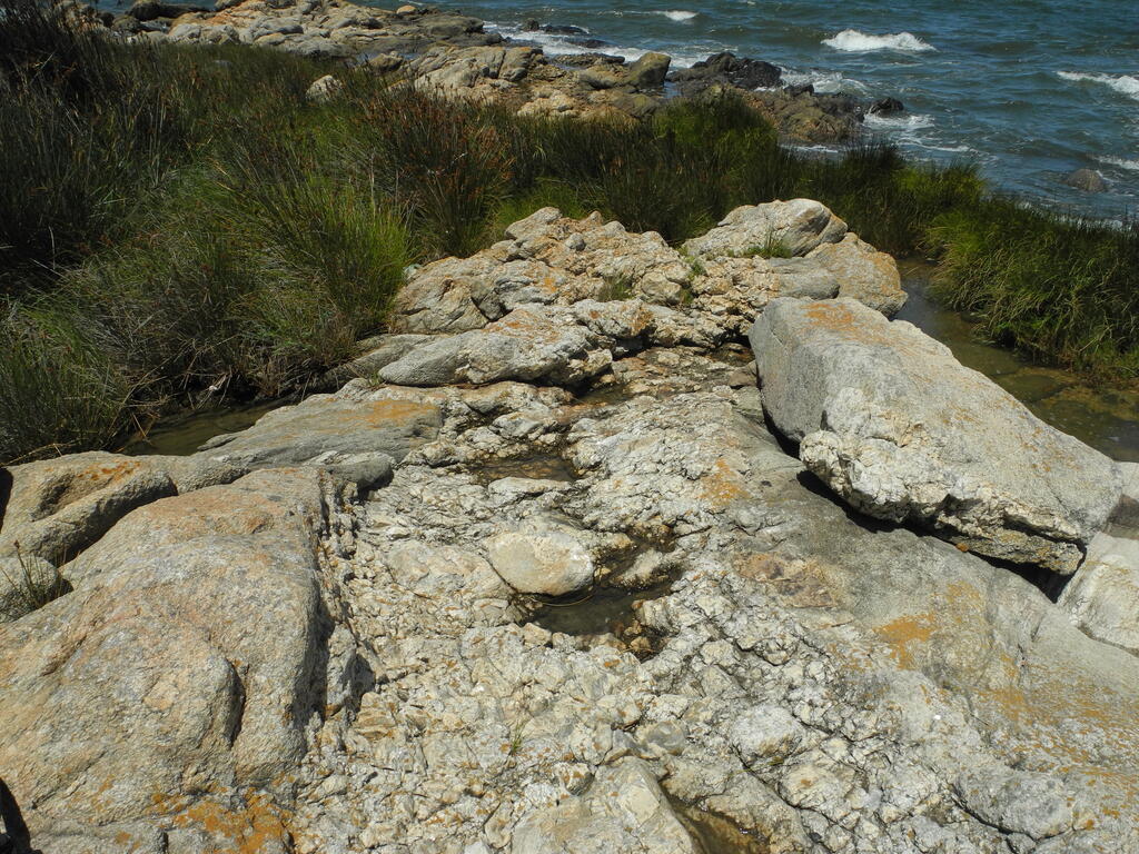 Spaziergang auf der Rambla, Gestein: Gneis mit Pegmatit