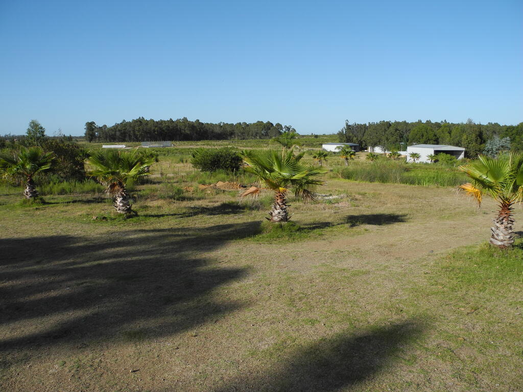 Die Aussicht am n&auml;chsten Morgen