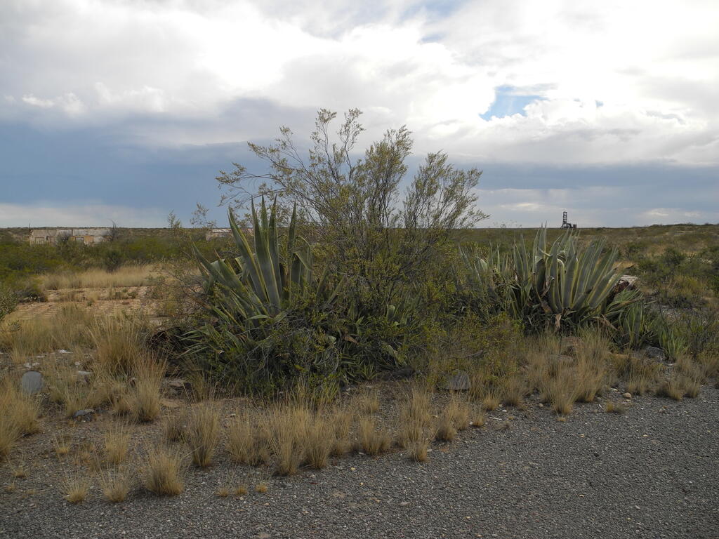 Erste Eindr&uuml;cke der alten Bergbausiedlung