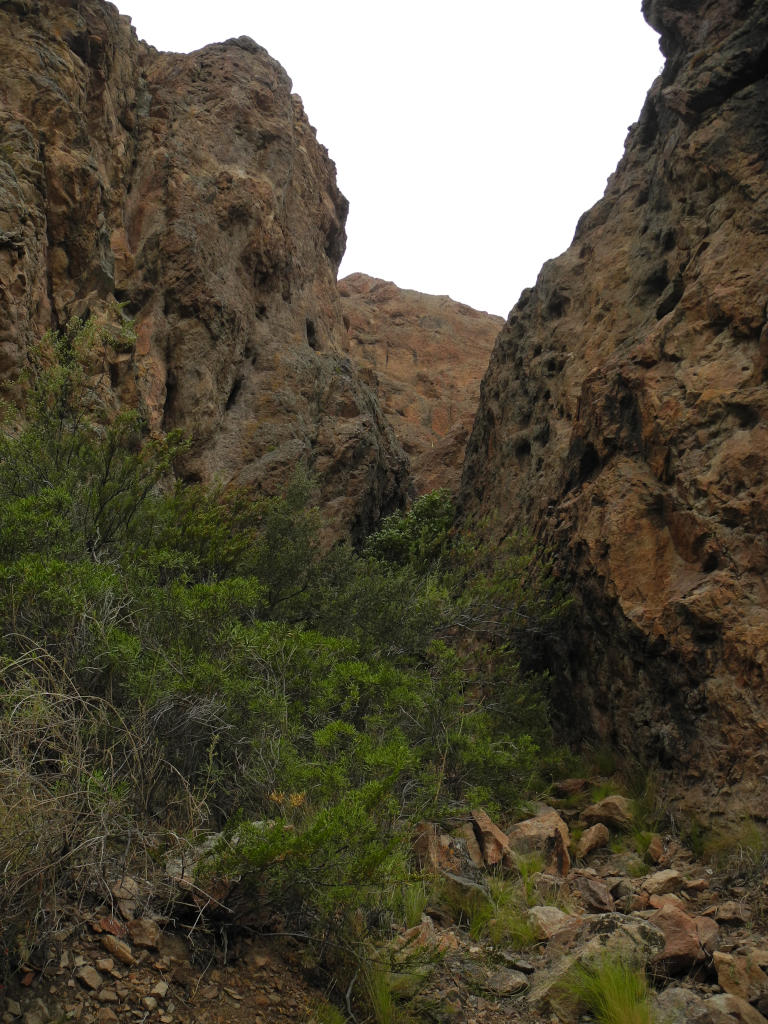 Umgebung des Camping Municipal Ameghino