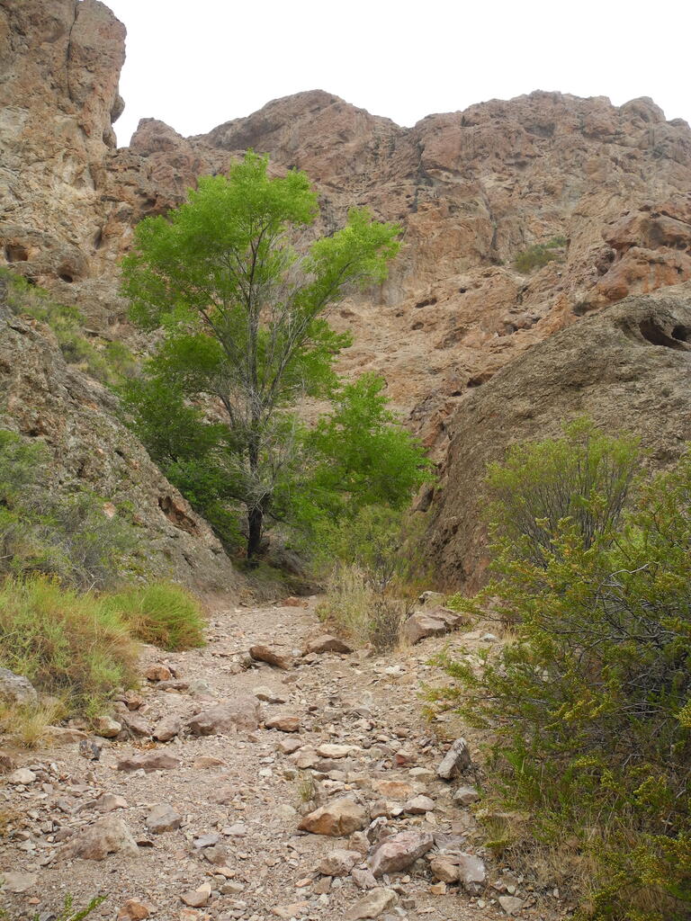 Umgebung des Camping Municipal Ameghino