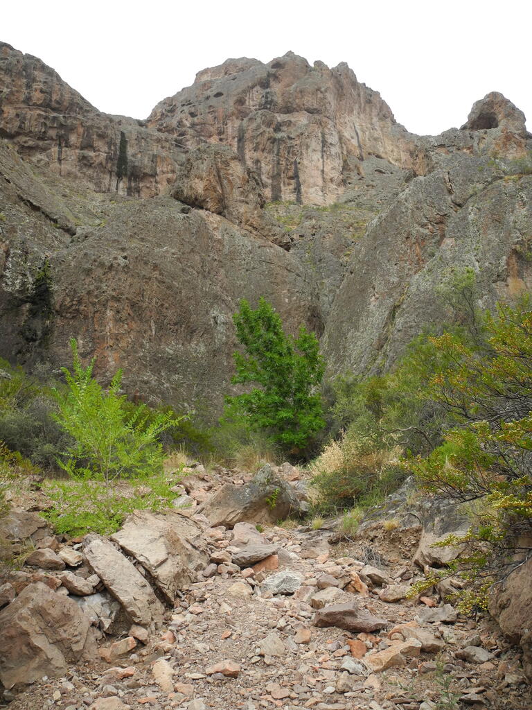 Umgebung des Camping Municipal Ameghino