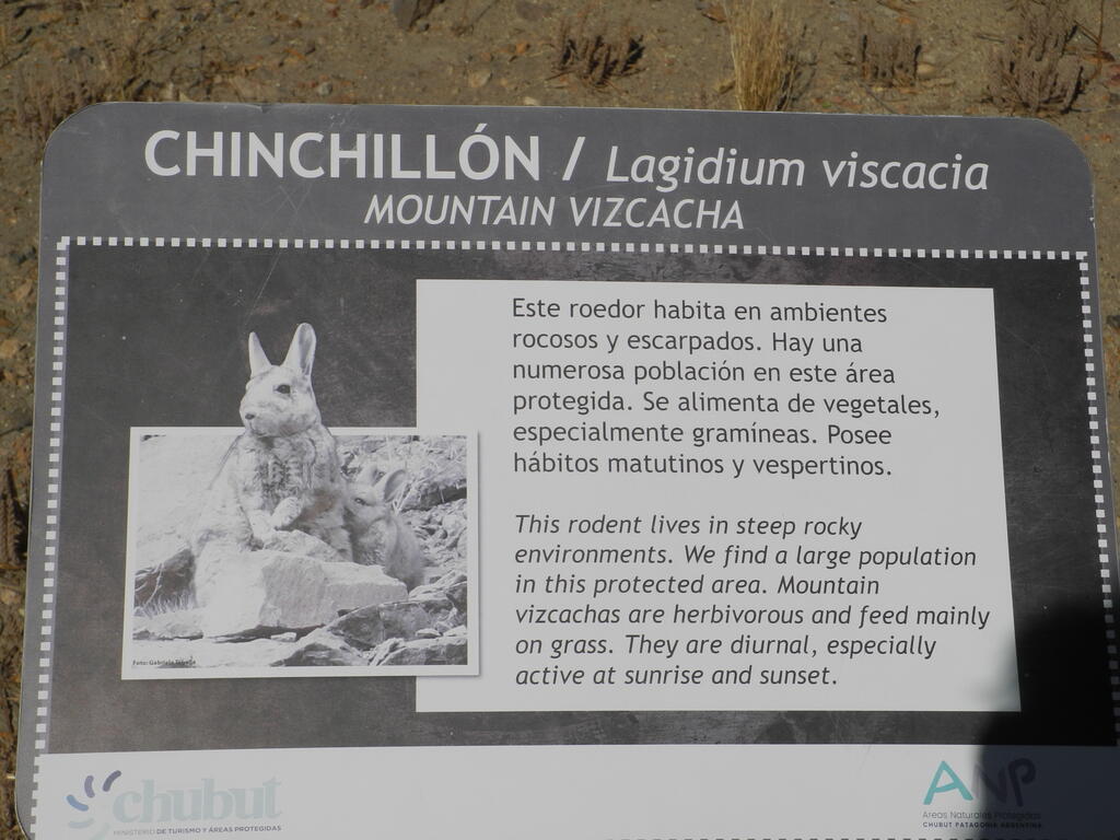 Infotafel Chinchill&oacute;n
